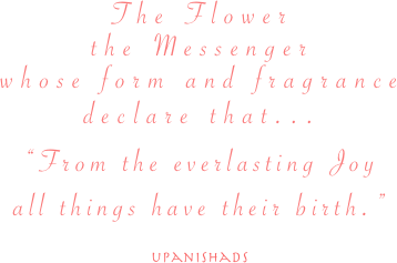 The Flower
the Messenger
whose form and fragrance
declare that...
“From the everlasting Joy
all things have their birth.”

upanishads